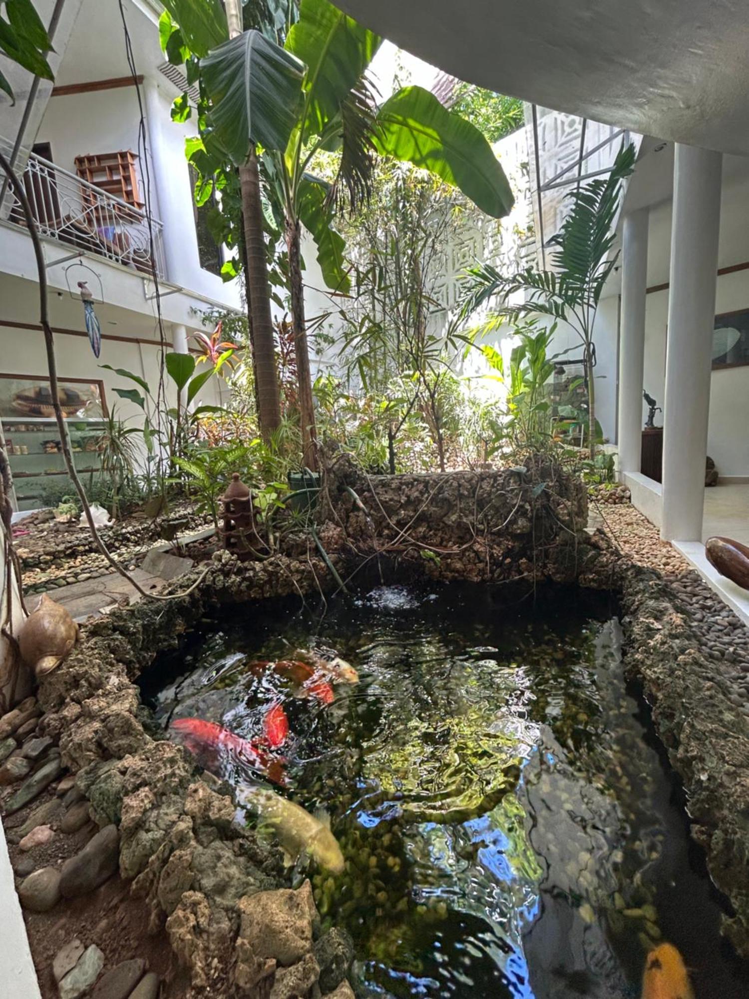 Argonauta Boracay Apartment Suites And Villas Boracay Island ภายนอก รูปภาพ